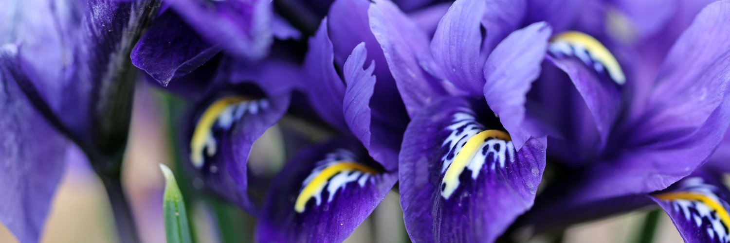 clevelanddotcom's profile banner image