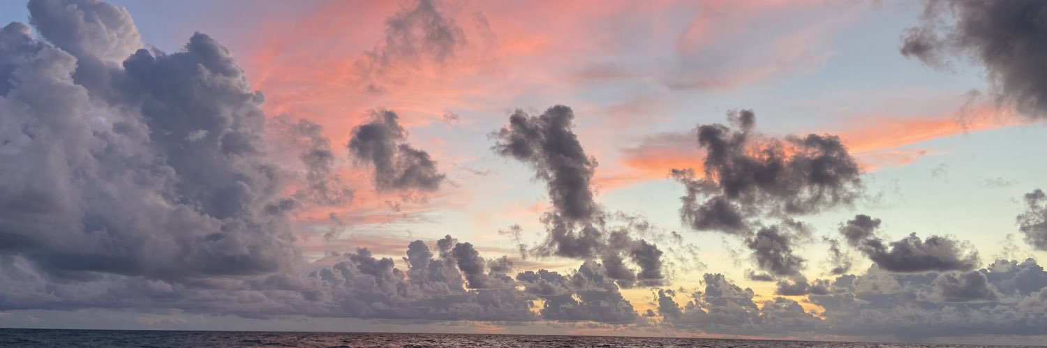 hannahmgrant's profile banner image
