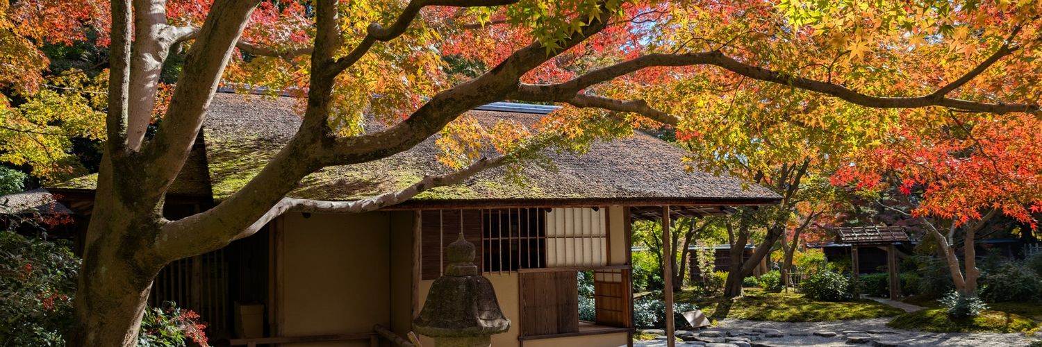 ini0016's profile banner image