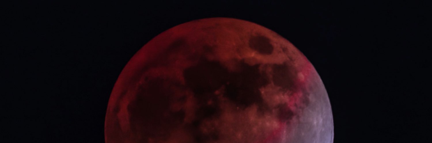 cowsonic0804's profile banner image