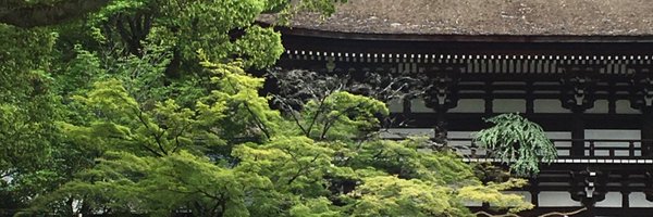 korokoro_inthew Profile Banner