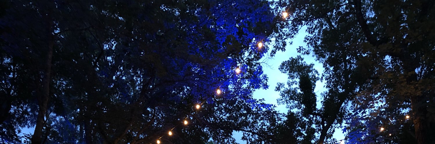 braysbrain's profile banner image