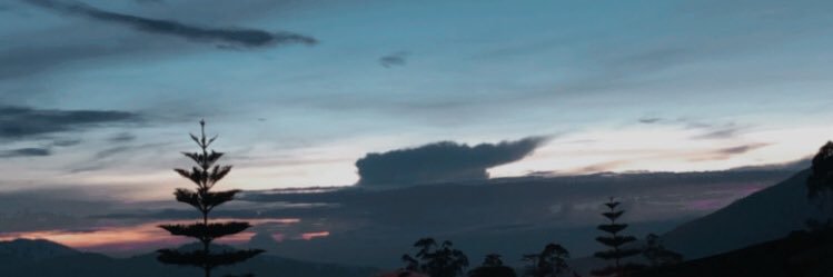 silfafpa's profile banner image