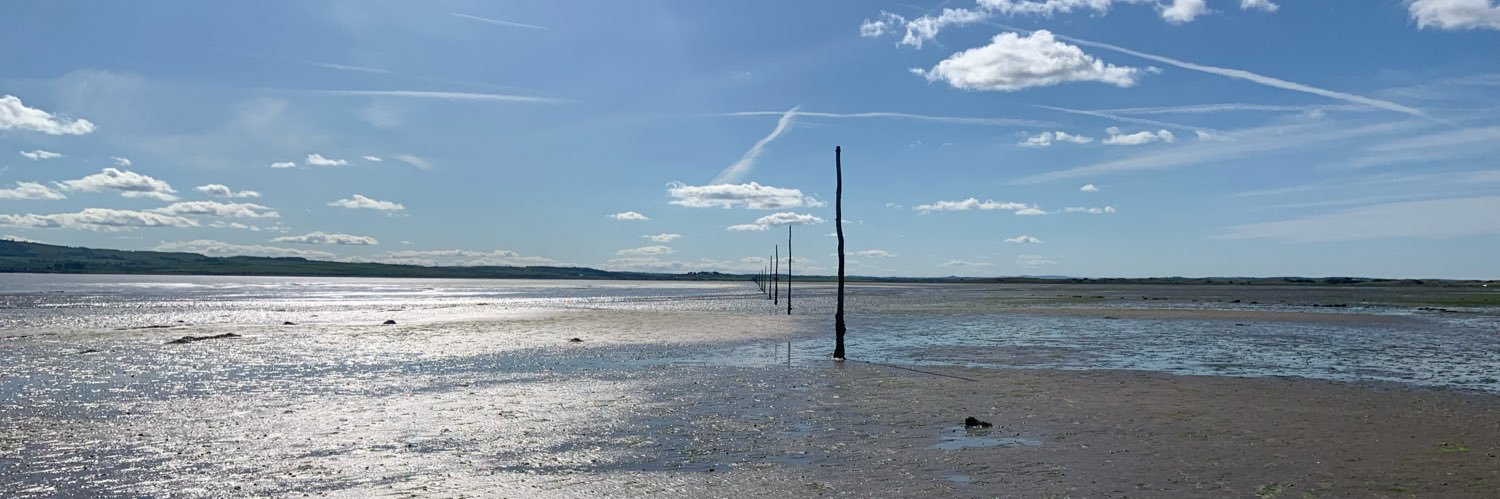 jmireland's profile banner image