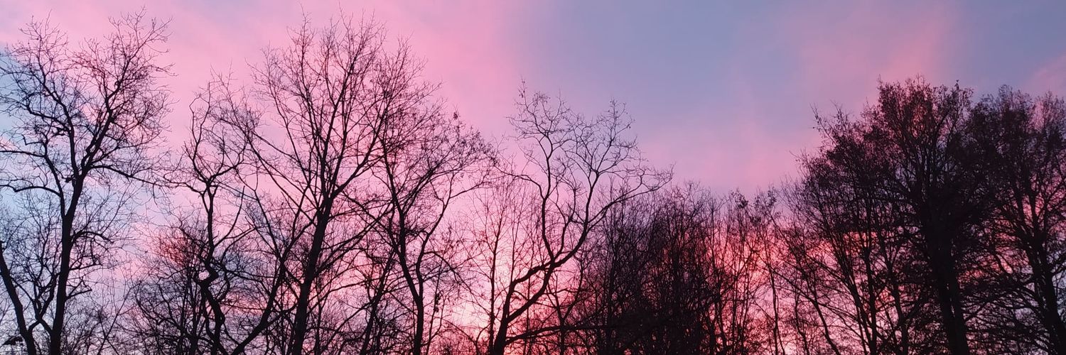 Benjamindmrs's profile banner image