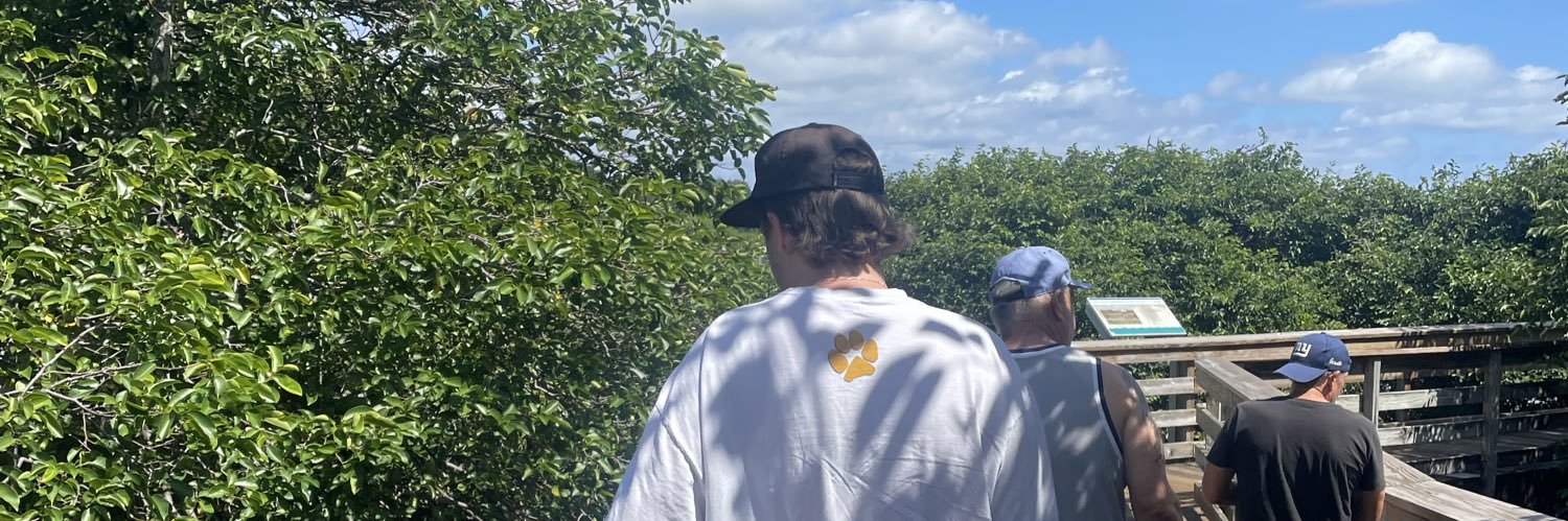 pageljack's profile banner image
