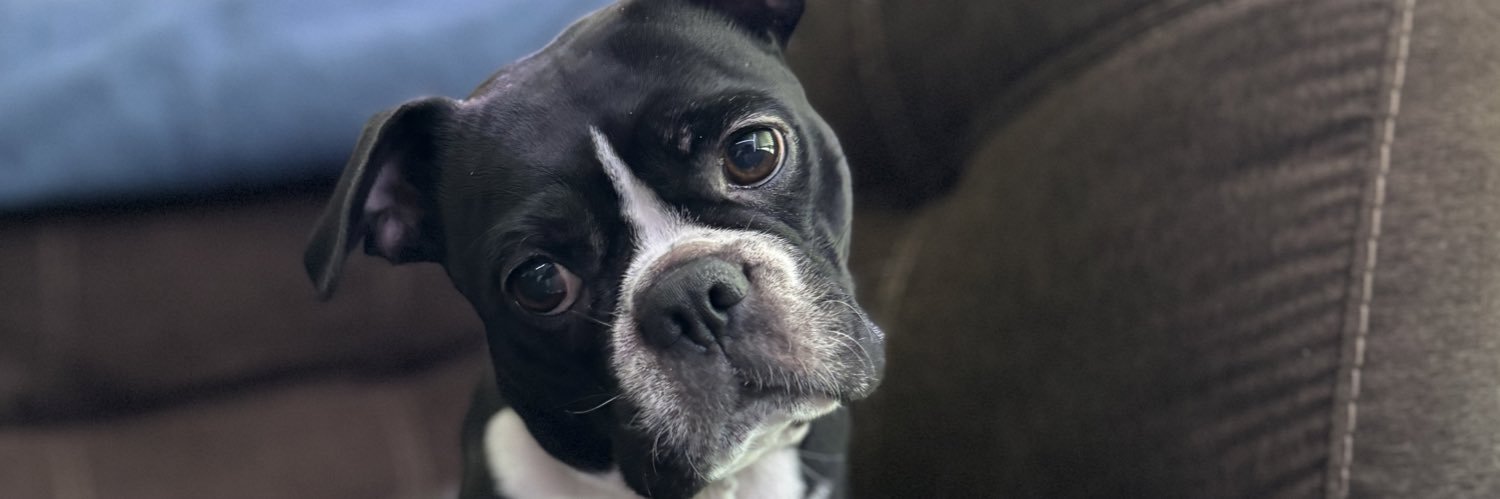 Bubbatatee's profile banner image