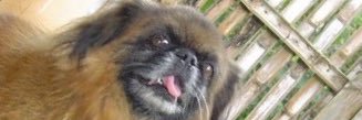 4everThriveCol's profile banner image