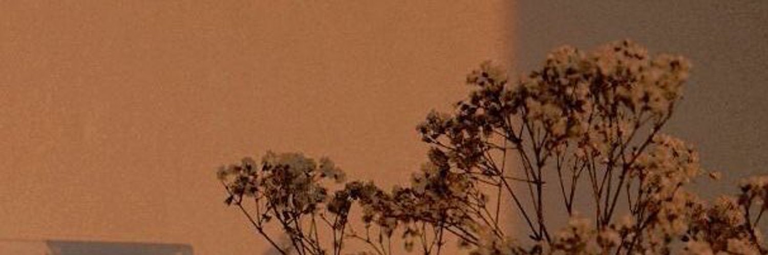toni⁷ || was sempiternaljjk banner