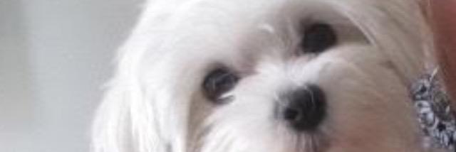 Comp4Gail's profile banner image