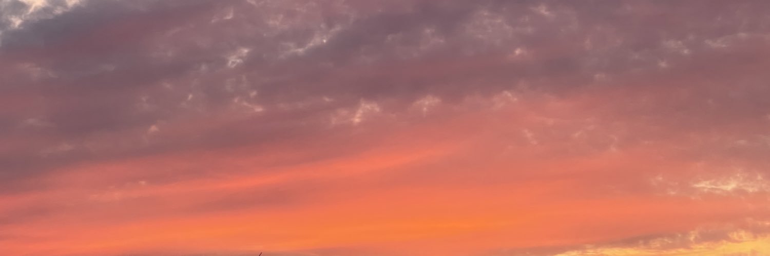 gomecchi_pro's profile banner image