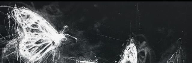 themintismind's profile banner image