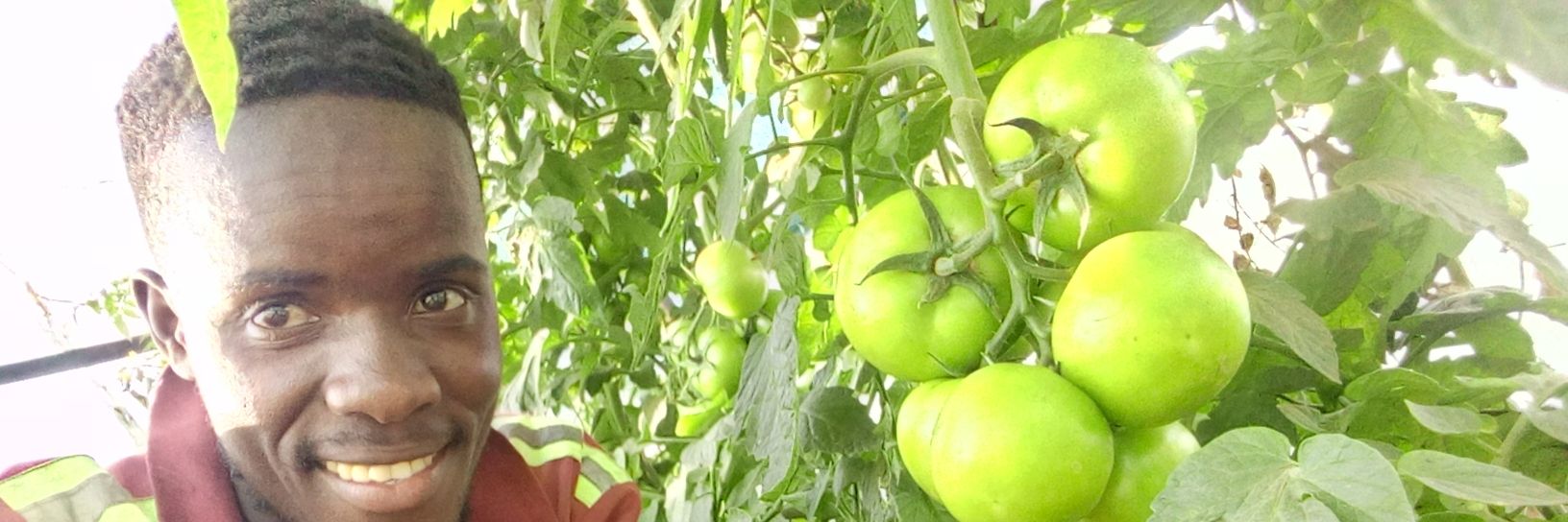 OwenLifeAtFarm's profile banner image