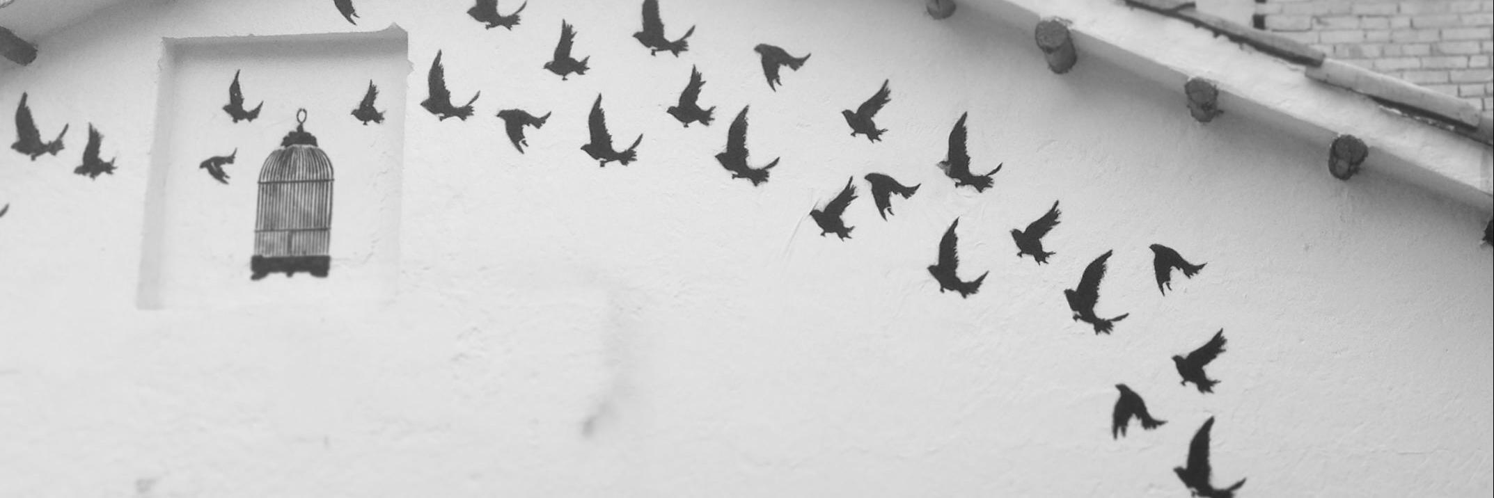 Pounehr's profile banner image