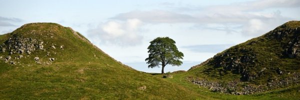 SuePriestUK Profile Banner