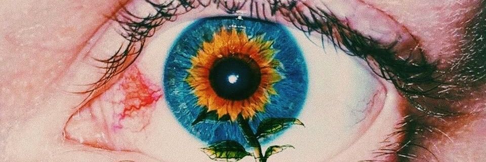 SabrinaSuarez25's profile banner image