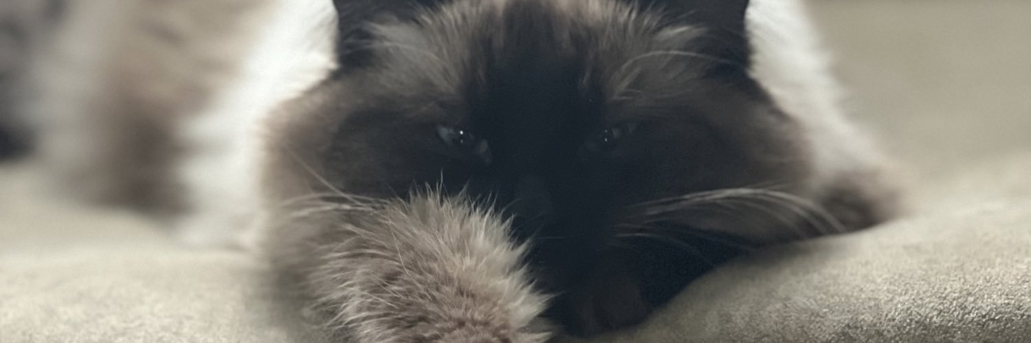 ox_cdufour's profile banner image