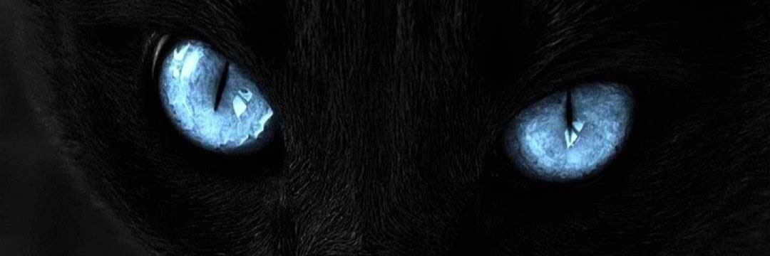 Rourke banner