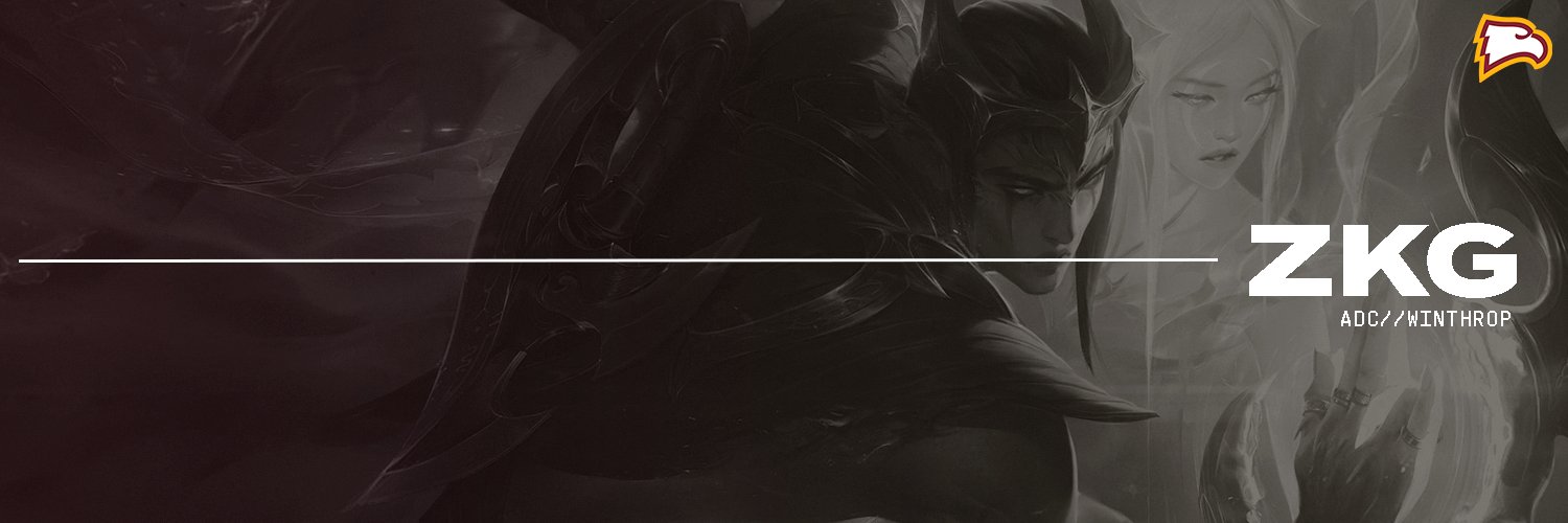 ZKG_LOL's profile banner image
