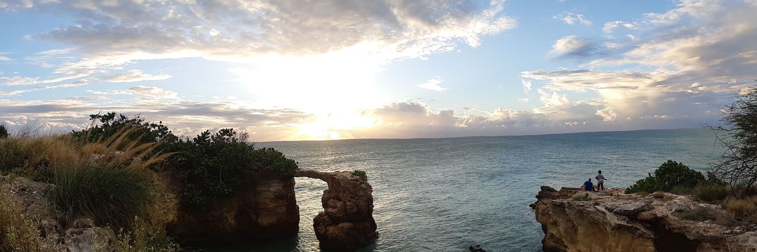 FMarie_Vega's profile banner image