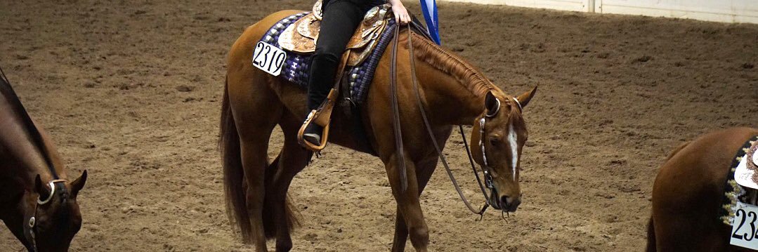 mallory_baker13's profile banner image