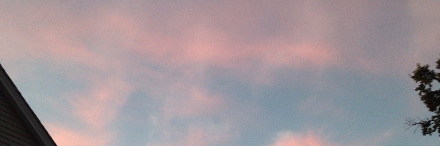 jbkarobson's profile banner image