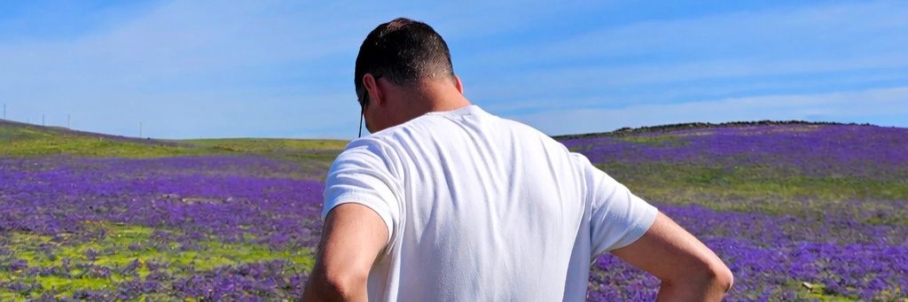 Acoray 🇮🇨 banner