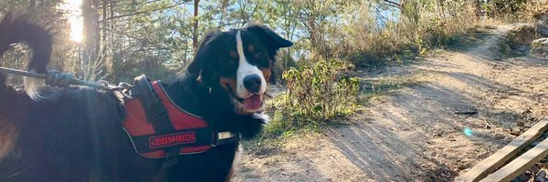 EPernot Profile Banner