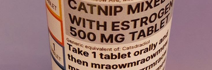 🔞 mee mow 🔜 LVFC, FWA banner