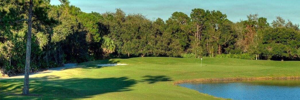 cypressheadgc's profile banner image