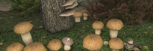 くーたぬきんとん@pandemonium banner