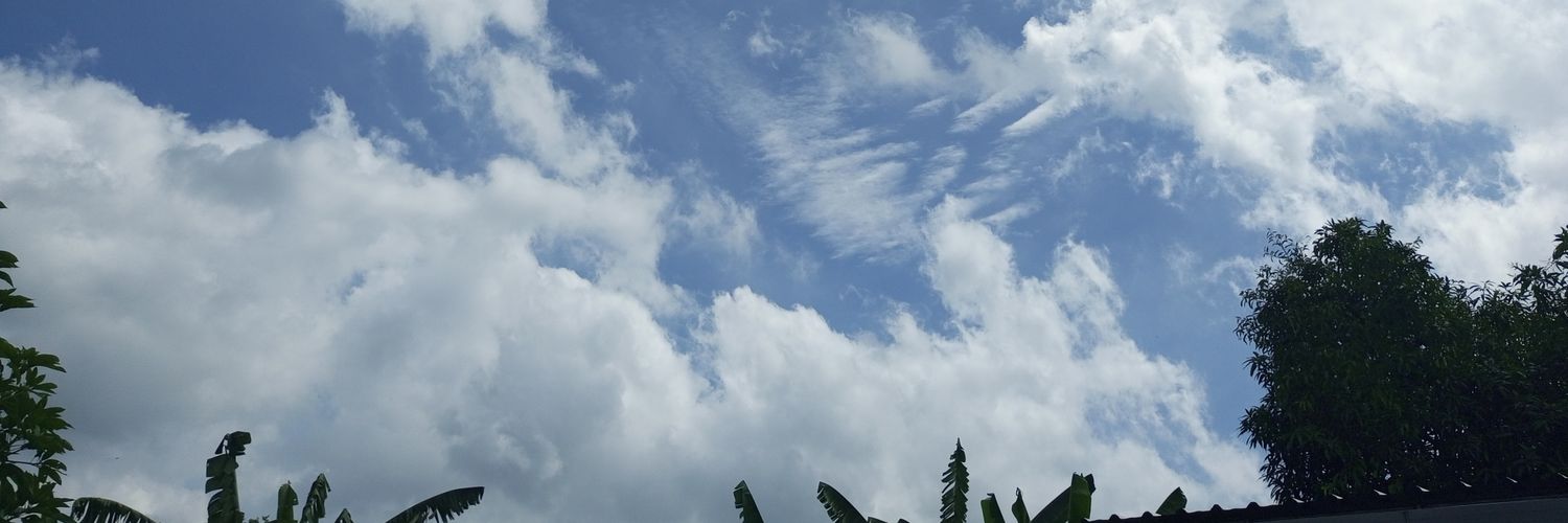 feifeidream's profile banner image