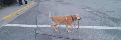 ทองเอก banner