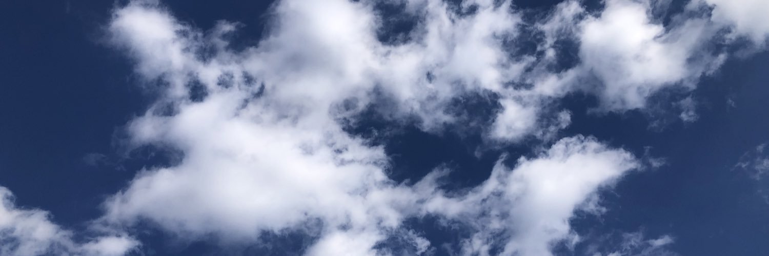 rex1029a's profile banner image