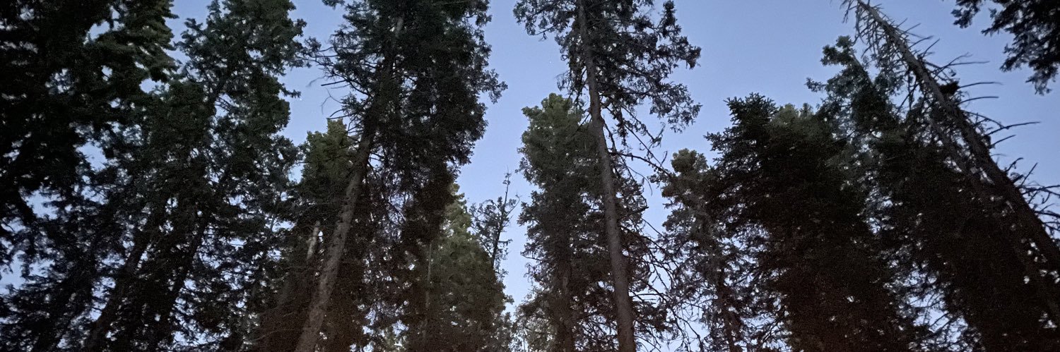 Storm Zablocki banner