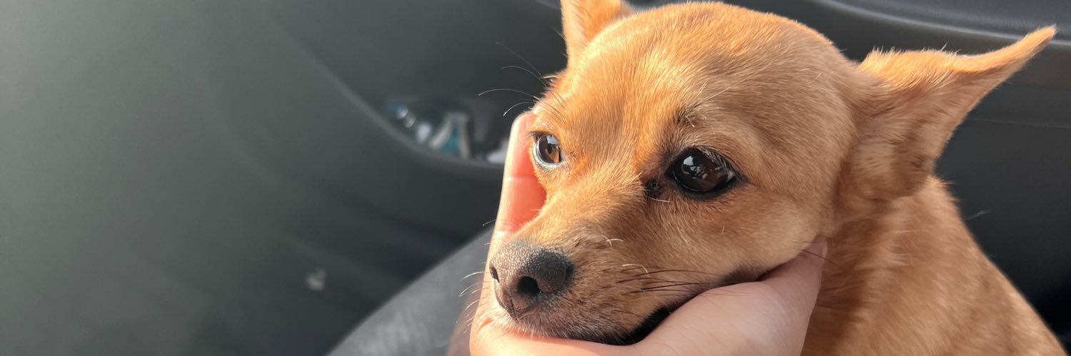 SR0D2's profile banner image