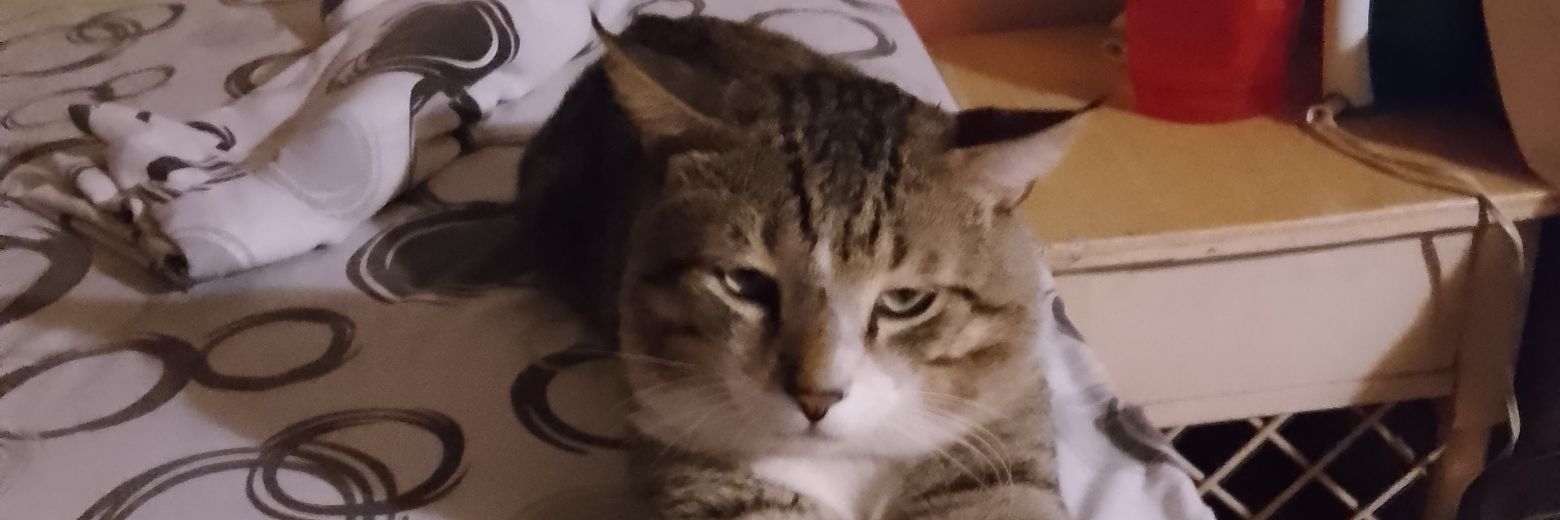 Kevin_PantojaZ's profile banner image