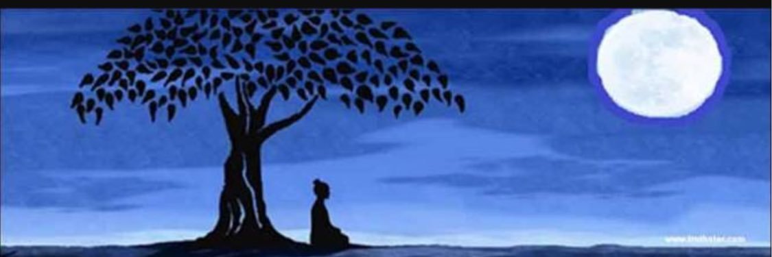 bellaforonte's profile banner image