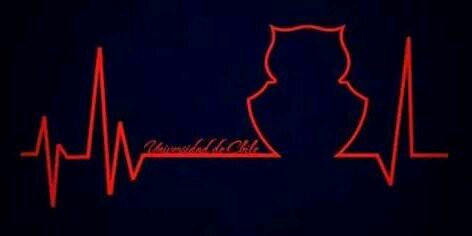 morenaUdeChile's profile banner image