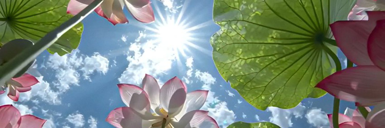 看片助手 banner