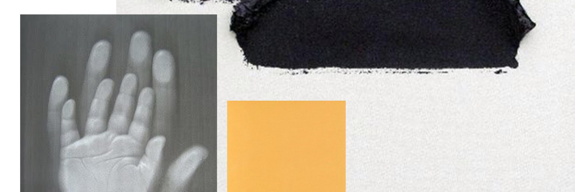 NatologyProject's profile banner image