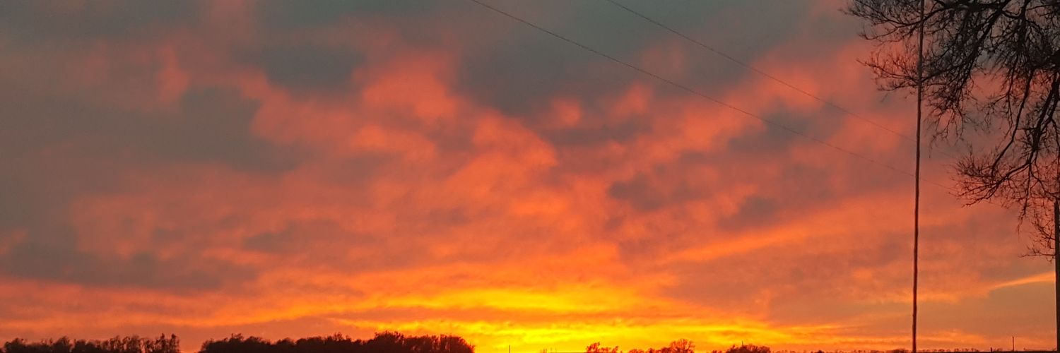 codyks's profile banner image