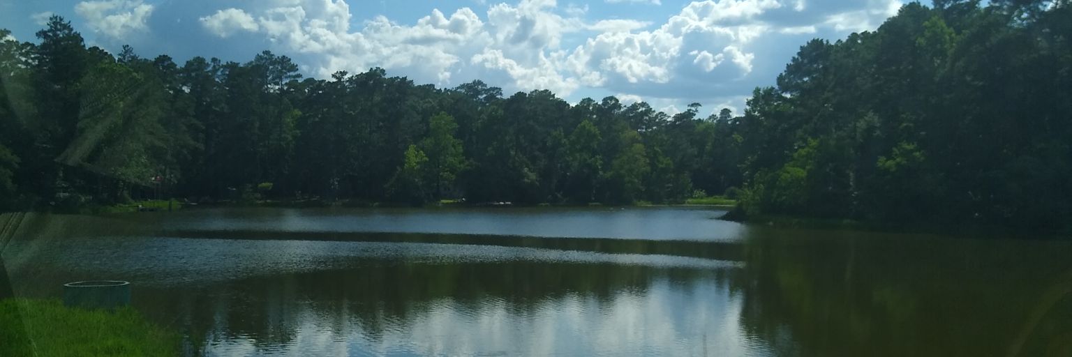 LegitCoolRick's profile banner image