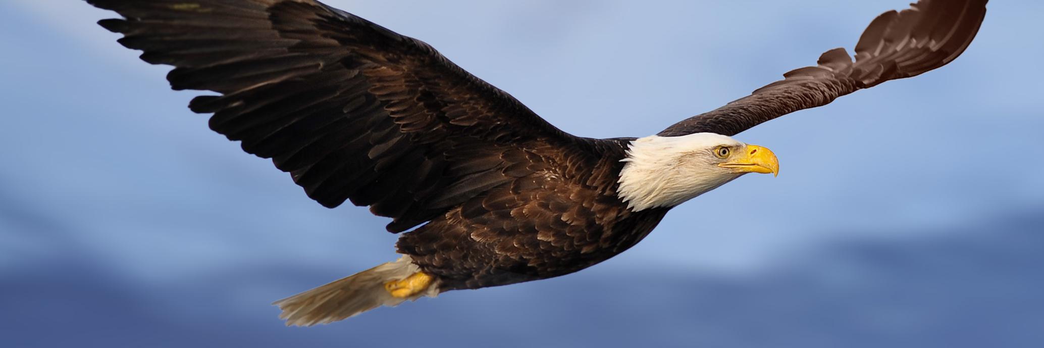 Barbers Hill ISD banner