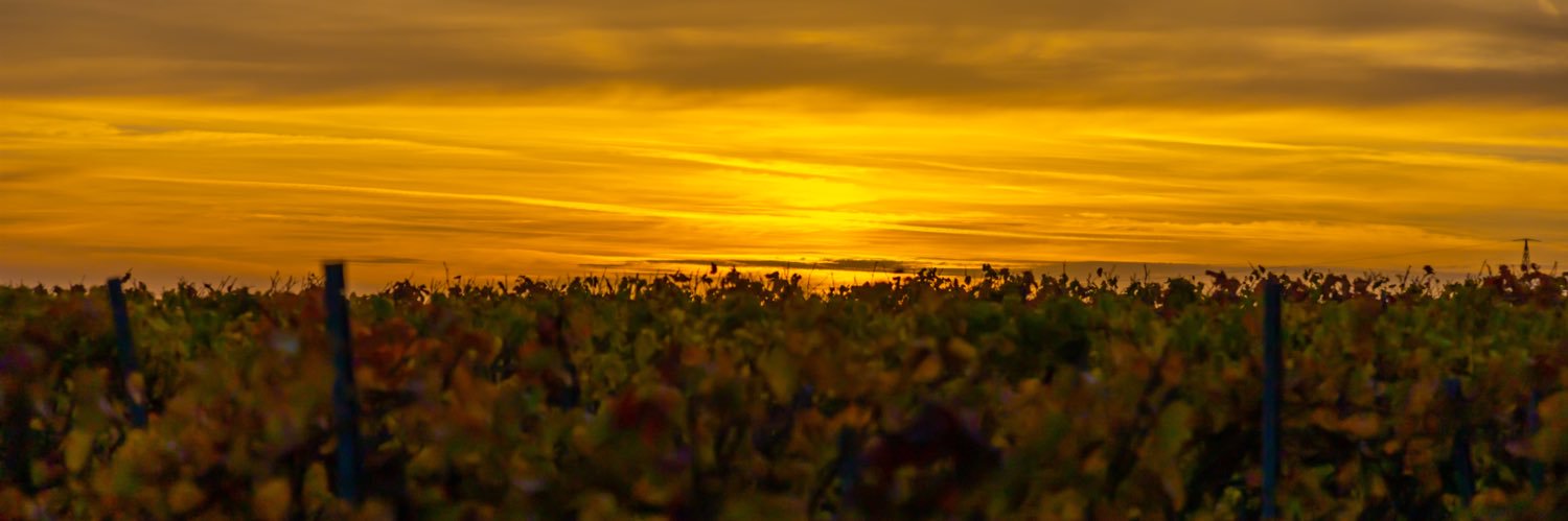 Thomas (@erbster99.bsky.social) banner