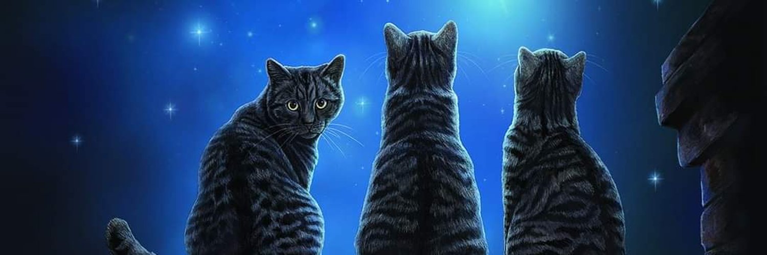 GwrachGymraeg 🐈‍⬛🧙‍♀️🇪🇺🏴󠁧󠁢󠁷󠁬󠁳󠁿 Profile Banner