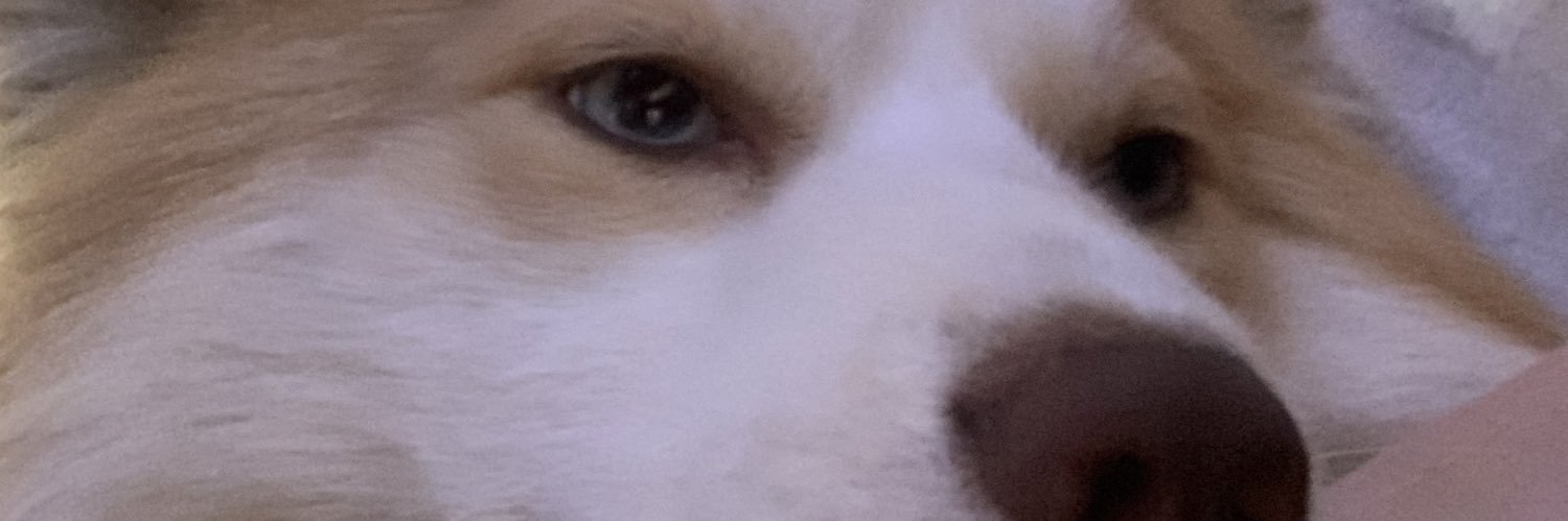 johnnyboyFEG's profile banner image