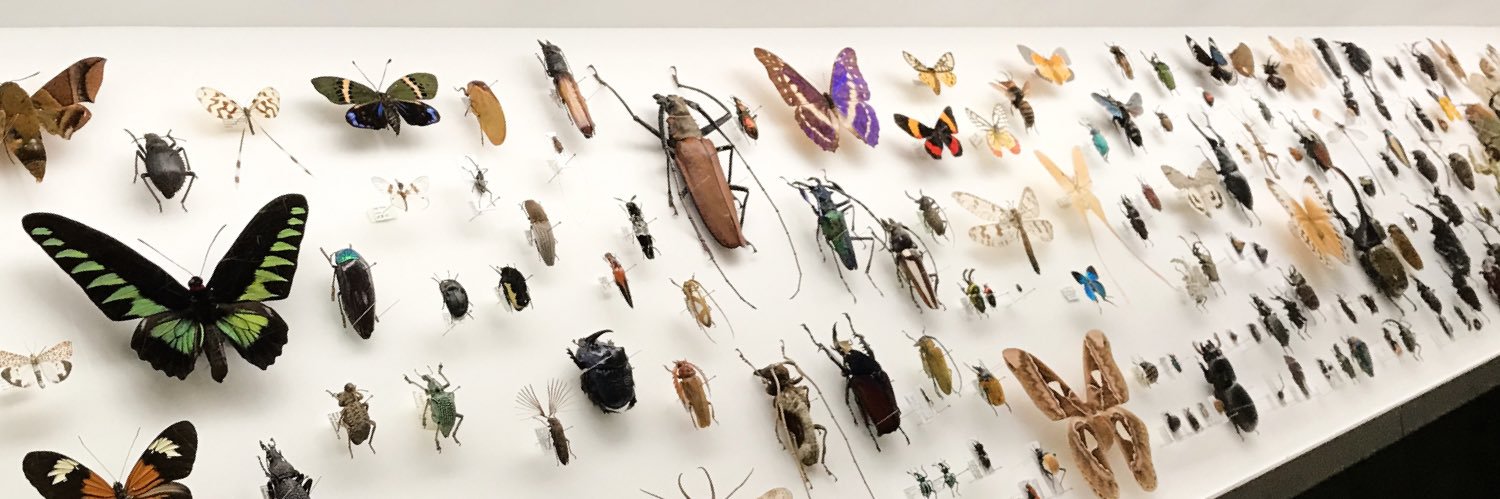 Keiki FUKUI 福井敬貴 banner