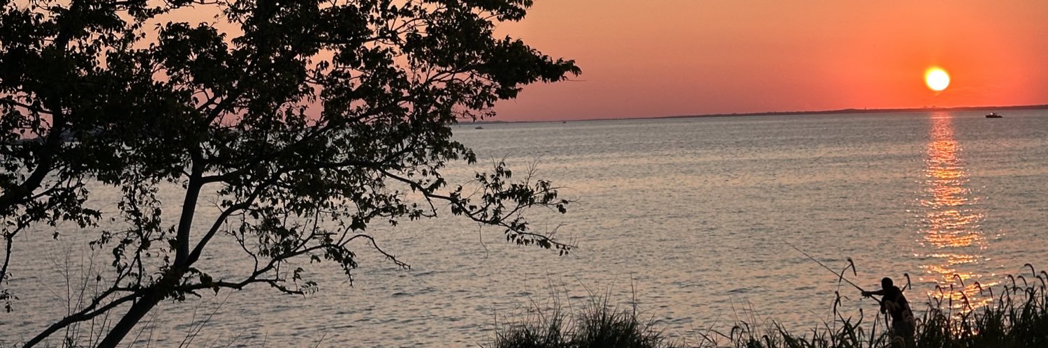 almostparanoid's profile banner image