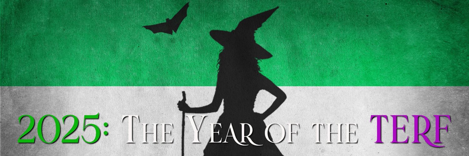 VilliManilli 💜🤍💚 banner